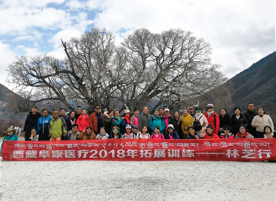 西藏阜康醫(yī)療2018年拓展訓(xùn)練——增強(qiáng)團(tuán)隊(duì)凝聚力、提升團(tuán)隊(duì)協(xié)作能力，更好地為患者服務(wù)
