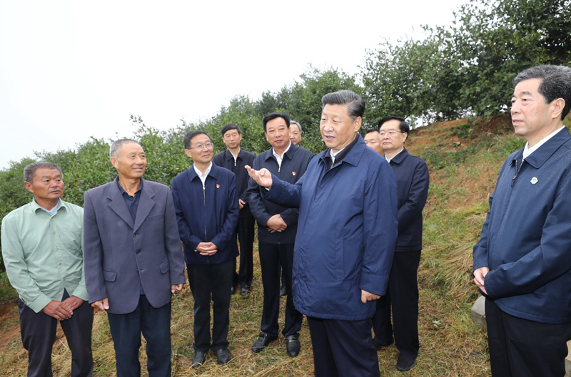 　　9月16日至18日，中共中央總書記、國家主席、中央軍委主席習(xí)近平在河南考察。這是17日上午，習(xí)近平來到信陽市光山縣槐店鄉(xiāng)司馬光油茶園，同正在勞作的村民和管理人員交流。 新華社記者 鞠鵬 攝