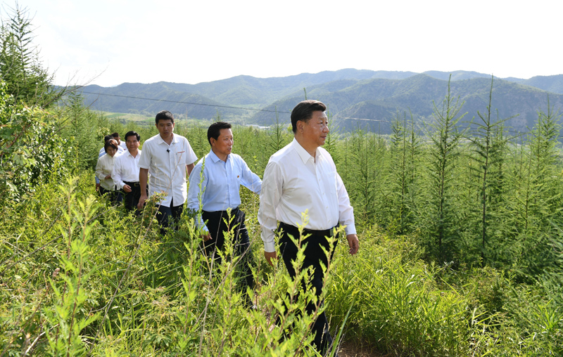 7月15日至16日，中共中央總書記、國(guó)家主席、中央軍委主席習(xí)近平在內(nèi)蒙古考察并指導(dǎo)開展“不忘初心、牢記使命”主題教育。這是15日下午，習(xí)近平在赤峰市喀喇沁旗馬鞍山林場(chǎng)林區(qū)，沿著崎嶇的護(hù)林小道察看林木長(zhǎng)勢(shì)。